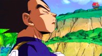 /album/fotogaleria/vegeta-ova-1-jpg/